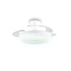 Reality LED Deckenventilator Kiruna, Lichtfarbe einstellbar 2700-6500 Kelvin
