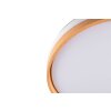 Reality Weißer LED Deckenventilator Volda, Lichtfarbe einstellbar 2700-6500 Kelvin