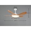 Reality LED Deckenventilator mit Beleuchtung Flen, Lichtfarbe einstellbar 2700-6500 Kelvin
