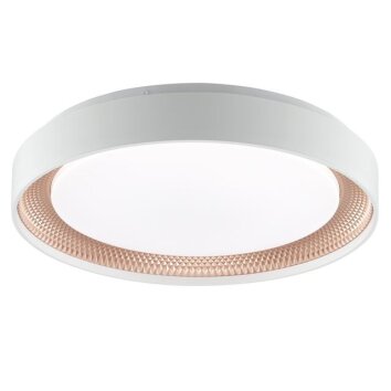 Brilliant Deckenleuchte Waldo mit Fernbedienung, Lichtfarbe einstellbar 3000-6500 Kelvin