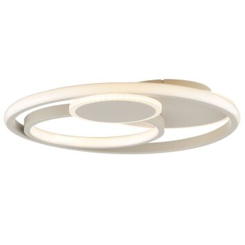 Brilliant beige LED Deckenleuchte Runda, Memoryfunktion, flach-rund, 3000 Kelvin warmweiß