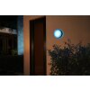 Philips Hue White & Color Ambiance Daylo Wandleuchte LED Schwarz, 1-flammig