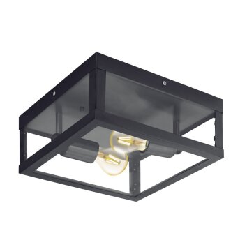 Eglo ALAMONTE 1 Deckenleuchte Schwarz, 2-flammig Eglo ALAMONTE 1 Deckenleuchte Schwarz, 2-flammig