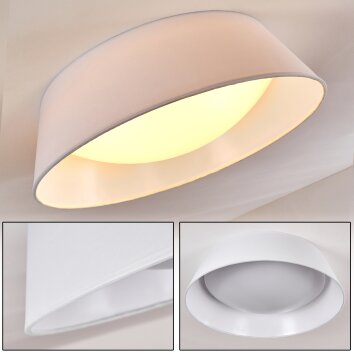 Negio Deckenleuchte LED Weiß, 1-flammig