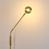 Gulkana Stehleuchte LED Gold, 1-flammig