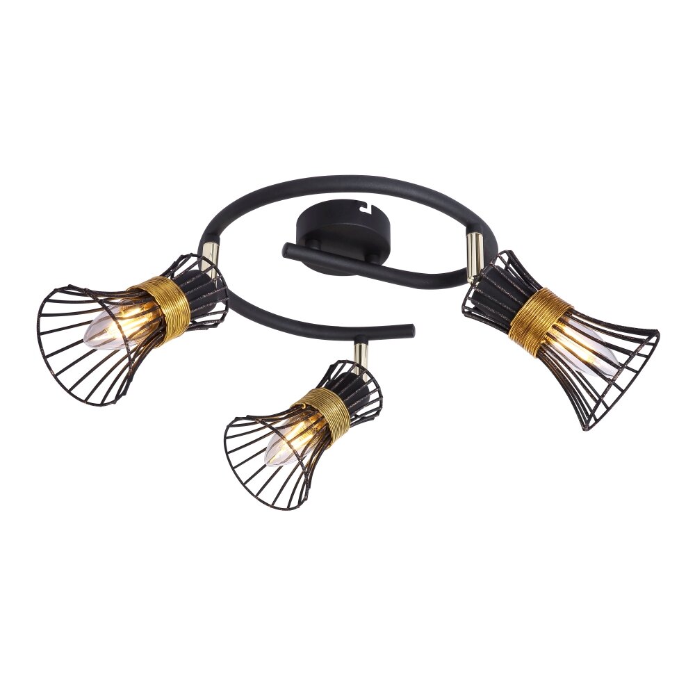 Globo ROXY Strahler Schwarz, 3-flammig main product photo