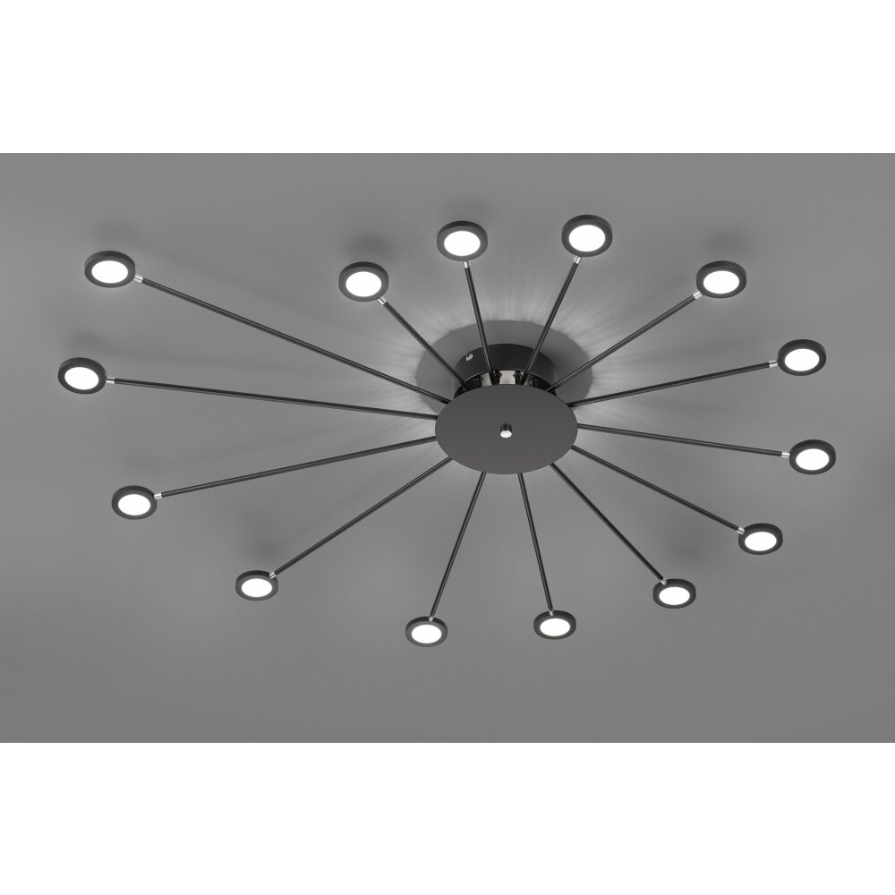 Trio Leuchten Peacock Deckenleuchte LED Schwarz, 15-flammig main product photo