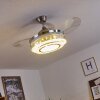 Bendigo Deckenventilator LED Nickel-Matt, Transparent, Klar, 1-flammig