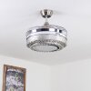 Bendigo Deckenventilator LED Nickel-Matt, Transparent, Klar, 1-flammig