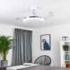 Bendigo Deckenventilator LED Chrom, Transparent, Klar, Weiß, 1-flammig