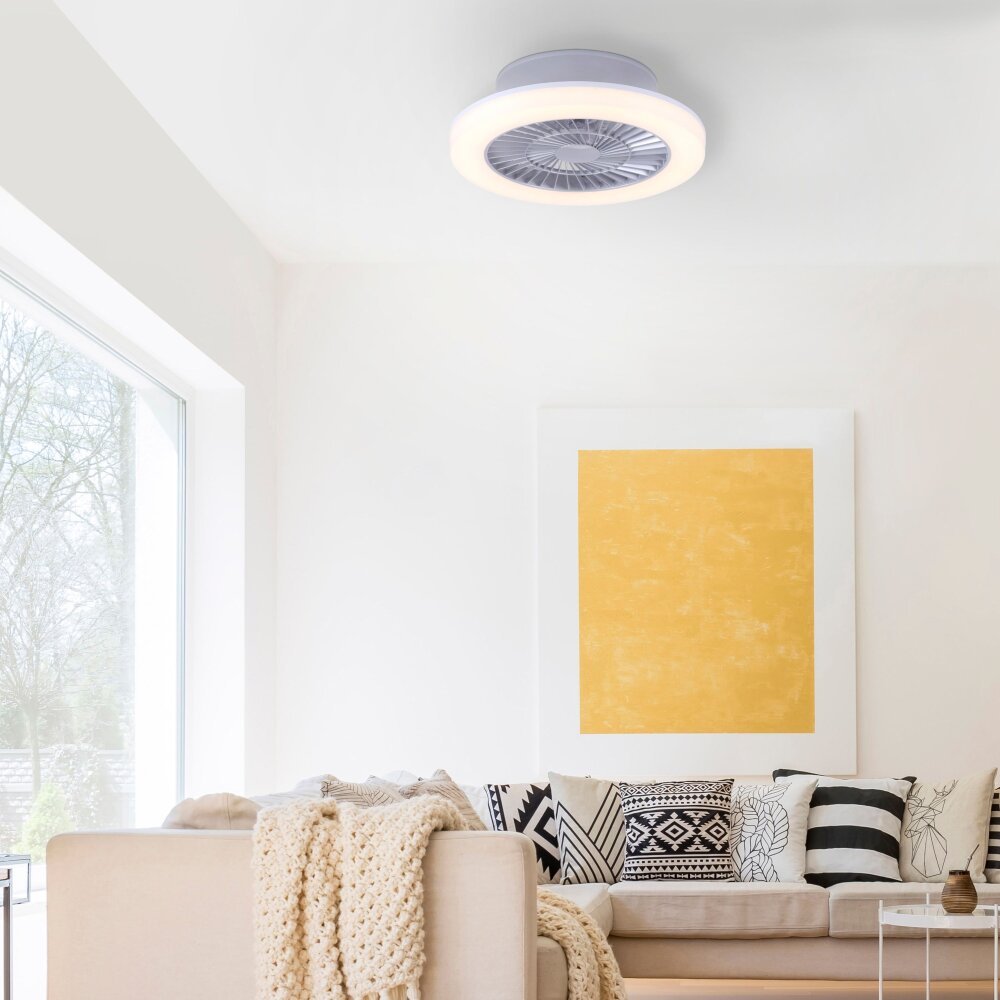 Leuchten Direkt LEONARD Deckenleuchte LED Nickel-Matt, 1-flammig main product photo