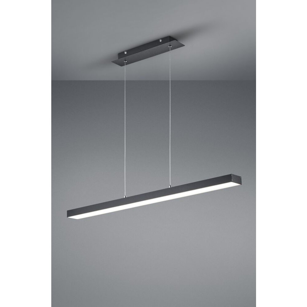 Reality AGANO Pendelleuchte LED Schwarz, 1-flammig main product photo