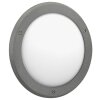 Albert 6409 Außendeckenleuchte LED Anthrazit, 1-flammig