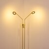 Gulkana Stehleuchte LED Gold, 2-flammig