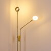 Gulkana Stehleuchte LED Gold, 2-flammig