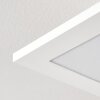 Antria Deckenpanel LED Weiß, 1-flammig