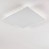 Antria Deckenleuchte LED Weiß, 1-flammig