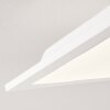 Antria Deckenleuchte LED Weiß, 1-flammig