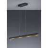 Trio Leuchten RAMIRO Pendelleuchte LED Schwarz, 4-flammig
