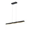 Trio Leuchten RAMIRO Pendelleuchte LED Schwarz, 4-flammig