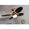 Globo WADE Ventilator Edelstahl, Nickel-Matt, 1-flammig