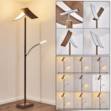 Lasona Deckenfluter LED Braun, Silber, 2-flammig Lasona Deckenfluter LED Braun, Silber, 2-flammig