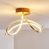 Wengi Deckenleuchte LED Gold, 1-flammig