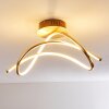 Wengi Deckenleuchte LED Gold, 1-flammig