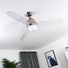 Varazze Deckenventilator Nickel-Matt, Transparent, Klar, 1-flammig, Fernbedienung