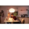 Philips Hue Ambiance White & Color Flourish Pendelleuchte LED Weiß, 1-flammig, Farbwechsler