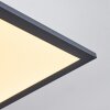 Salmi Deckenpanel LED Schwarz, Weiß, 1-flammig