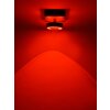 Paul Neuhaus Q-MIA Deckenleuchte LED Anthrazit, 1-flammig, Fernbedienung