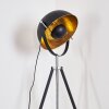 Jupiter Stehlampe Schwarz-Gold, 1-flammig