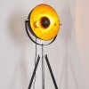 Jupiter Stehlampe Schwarz-Gold, 1-flammig