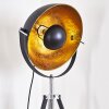 Jupiter Stehlampe Schwarz-Gold, 1-flammig