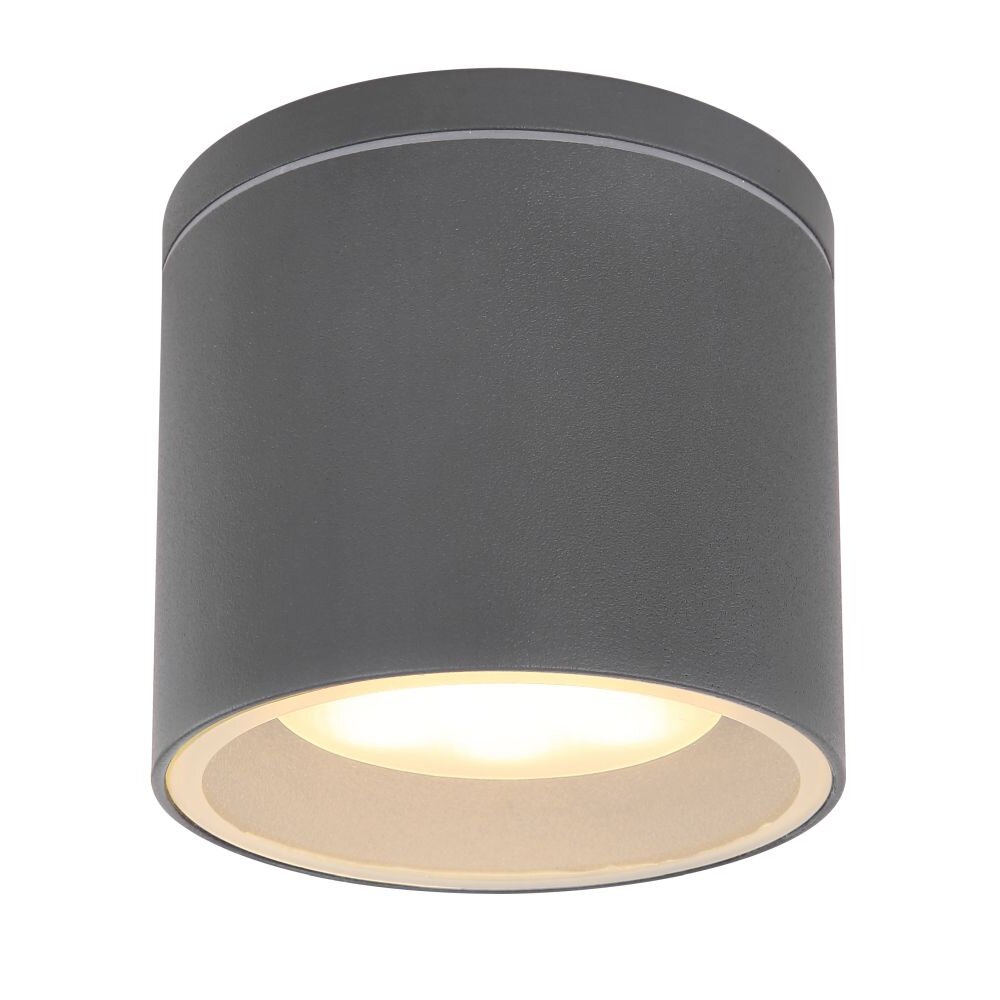Globo ALCALA Außendeckenleuchte Anthrazit, 1-flammig main product photo