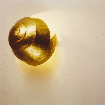 Holländer SNAIL ONE Wandleuchte Gold, 1-flammig