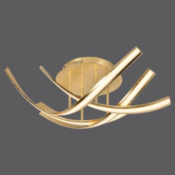 Paul Neuhaus LINDA Deckenleuchte LED Gold, 4-flammig