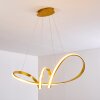 Woyens Pendelleuchte LED Gold, 1-flammig