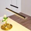 Junsele Pendelleuchte LED Schwarz, 1-flammig Junsele Pendelleuchte LED Schwarz, 1-flammig