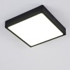 Kragos Deckenpanel LED Schwarz, Weiß, 1-flammig