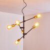 Coppet Pendelleuchte Schwarz-Gold, 6-flammig Coppet Pendelleuchte Schwarz-Gold, 6-flammig