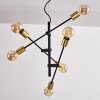 Coppet Pendelleuchte Schwarz-Gold, 6-flammig Coppet Pendelleuchte Schwarz-Gold, 6-flammig