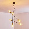 Coppet Pendelleuchte Schwarz-Gold, 6-flammig Coppet Pendelleuchte Schwarz-Gold, 6-flammig