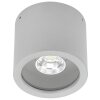 Albert 2319 Deckenaufbauleuchte LED Silber, 1-flammig