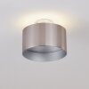 Baraboo Deckenleuchte LED Nickel-Matt, 2-flammig