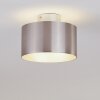 Baraboo Deckenleuchte LED Nickel-Matt, 2-flammig