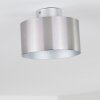 Baraboo Deckenleuchte LED Nickel-Matt, 2-flammig