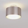 Baraboo Deckenleuchte LED Nickel-Matt, 2-flammig