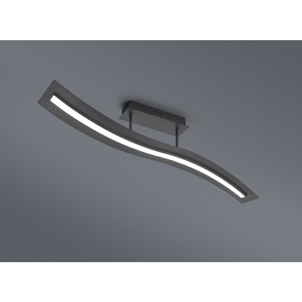 Trio Leuchten Salerno Deckenleuchte LED Schwarz, 1-flammig main product photo
